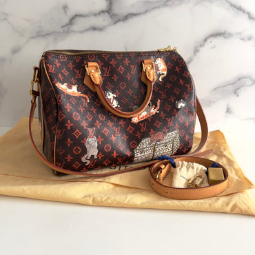 Louis Vuitton Catogram Speedy Bandouliere 30