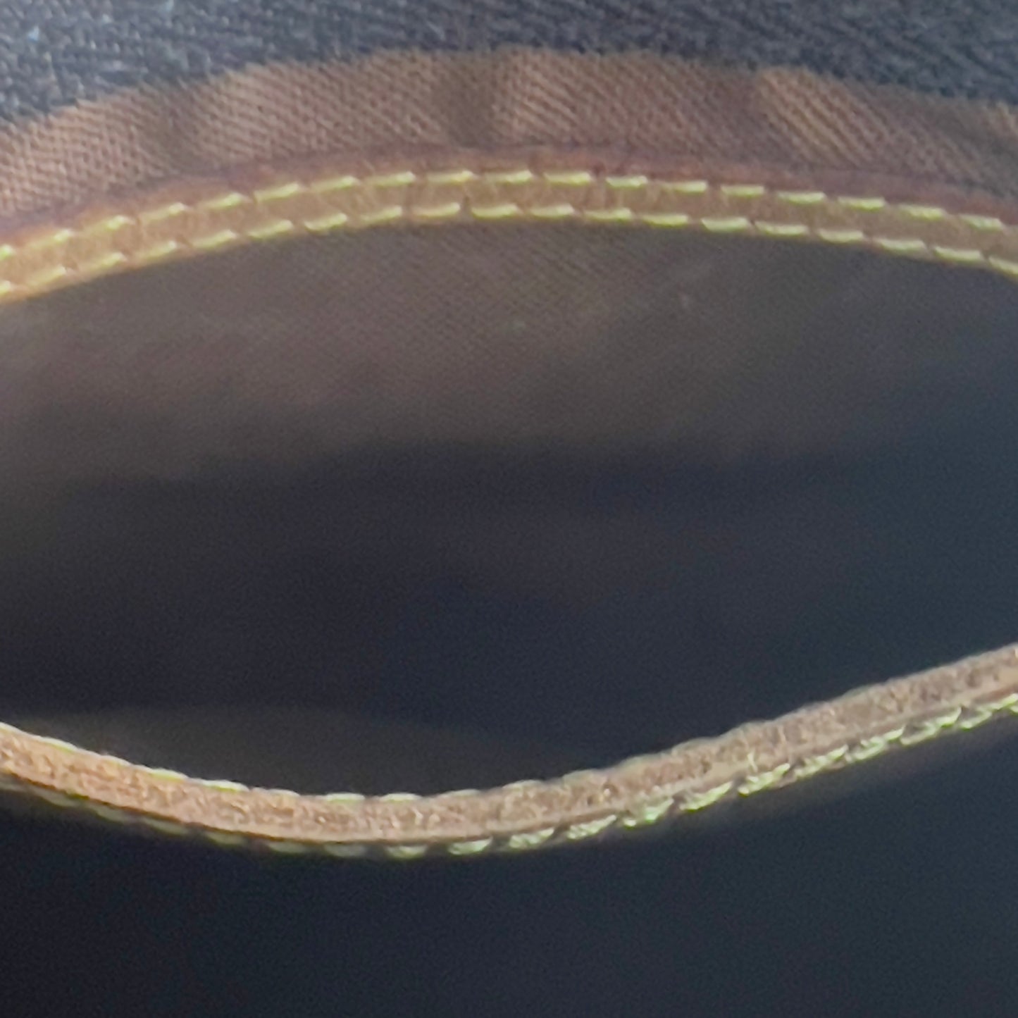 Louis Vuitton Monogram Cherries Speedy 25