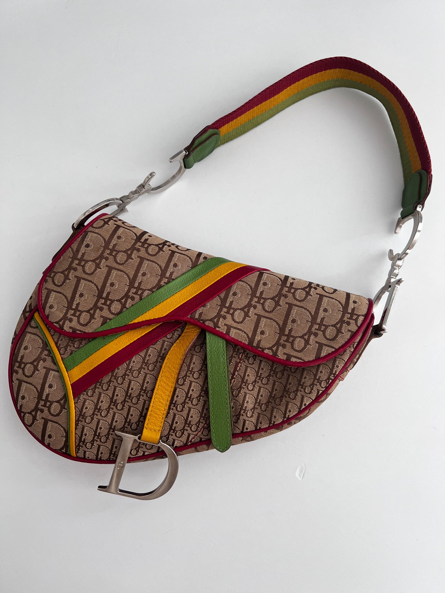 Dior Saddle Rasta shoulder bag