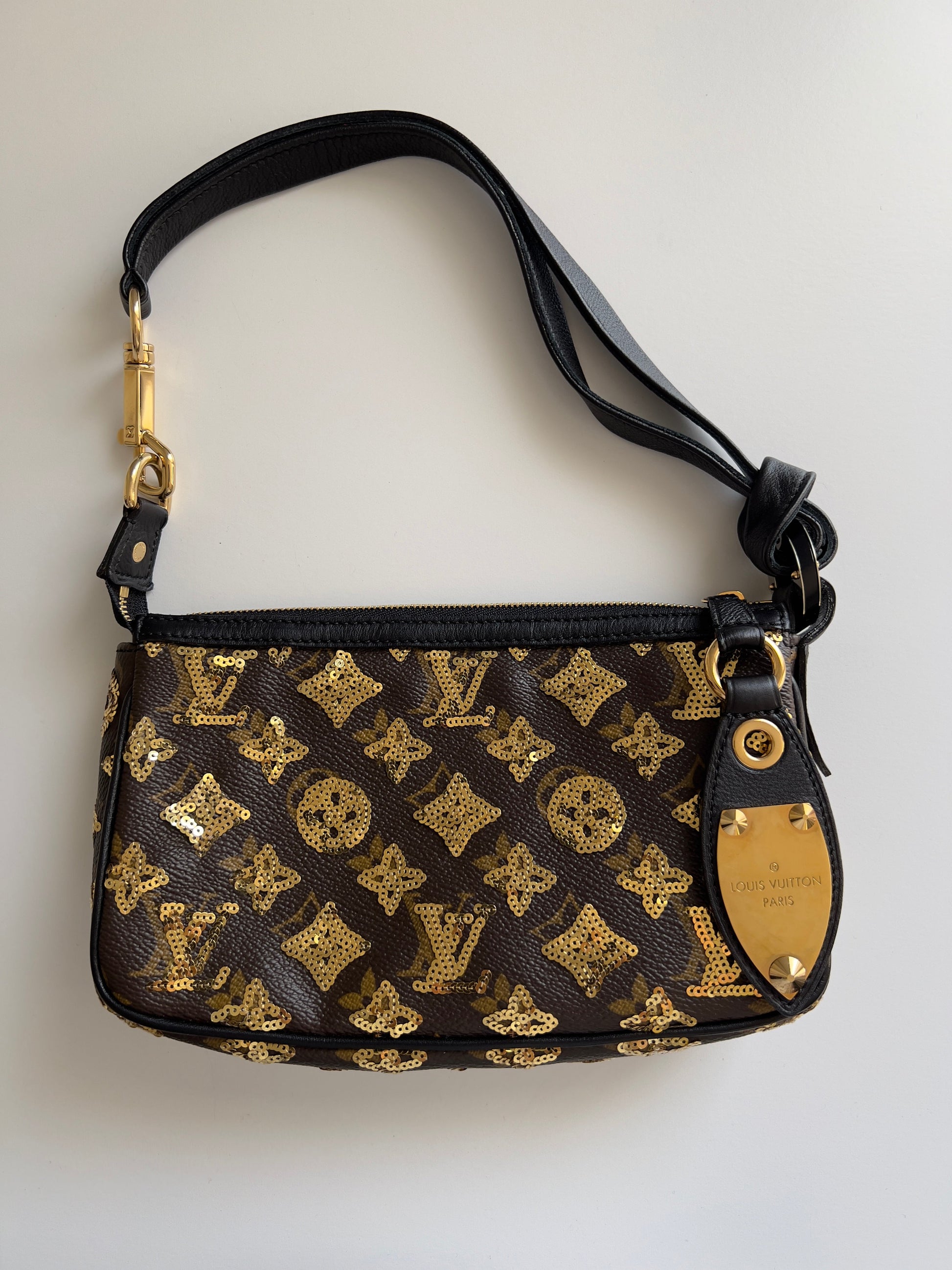 Louis Vuitton monogram eclipse pochette accessories big size