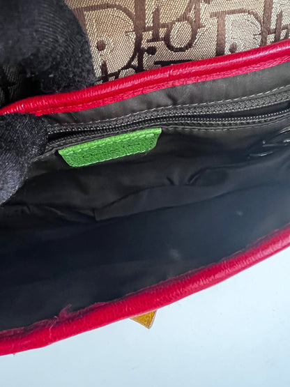 Dior Saddle Rasta shoulder bag