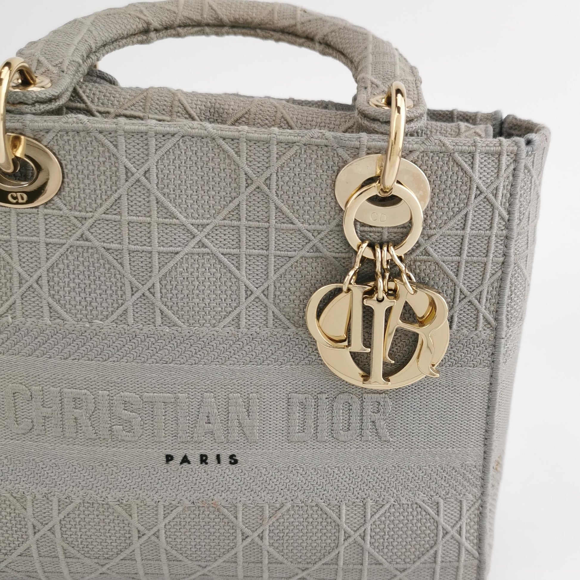 Lady Dior Medium Canvas Logo