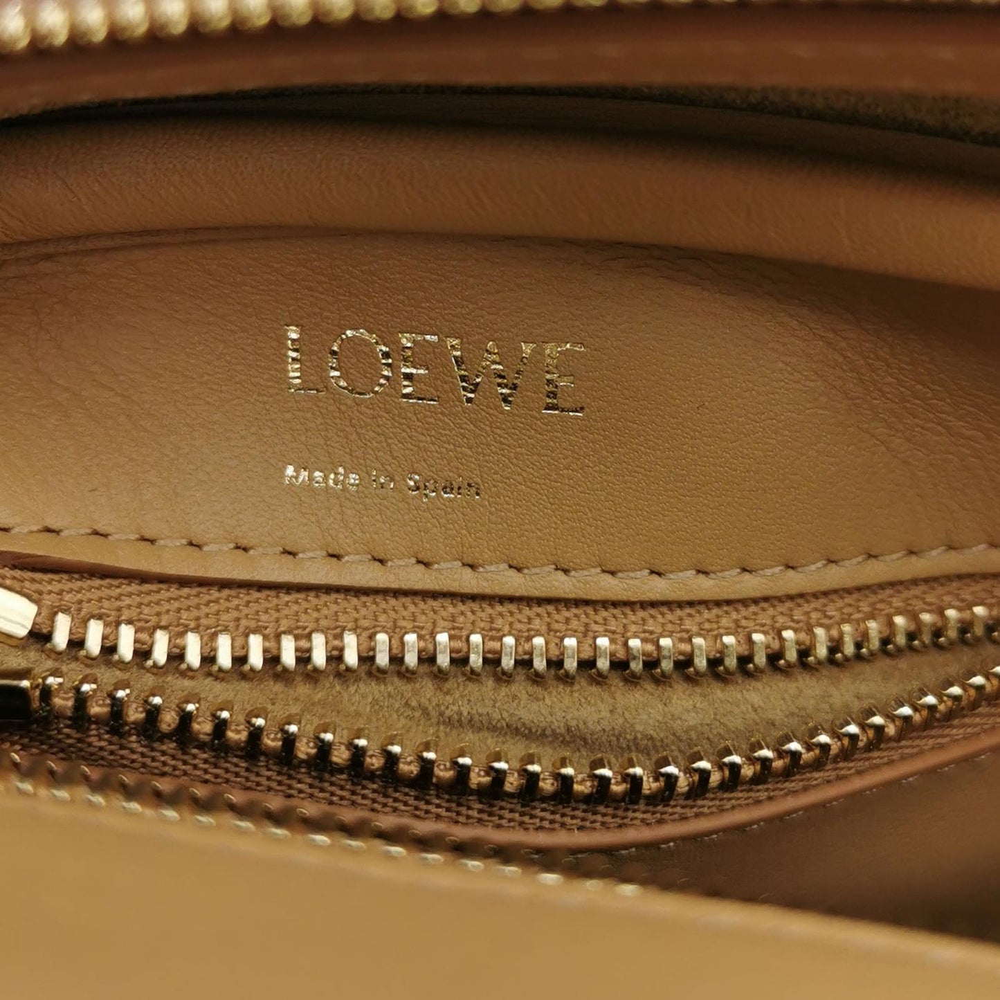 Amazona Canvas Anagram