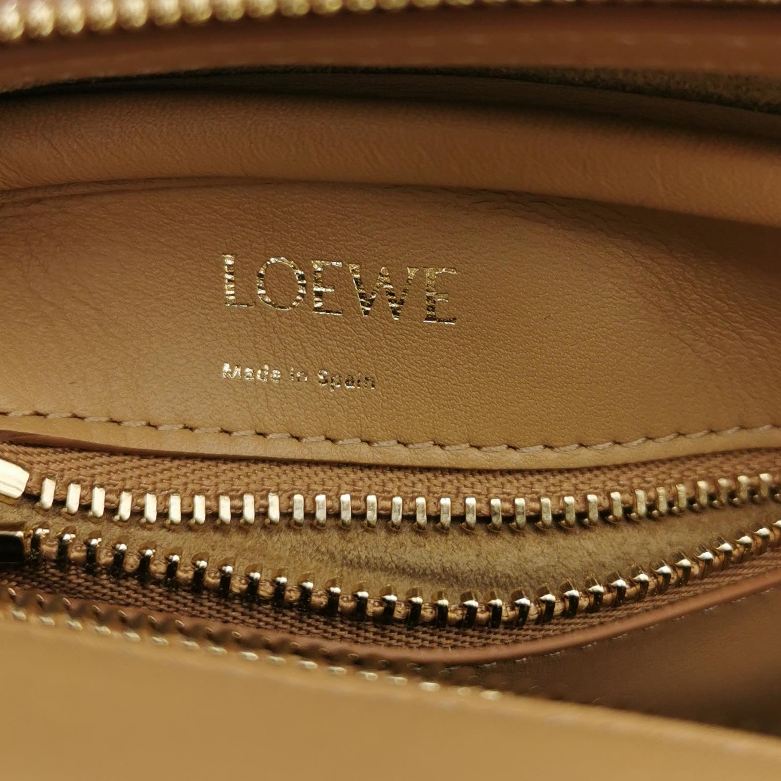 Amazona Canvas Anagram