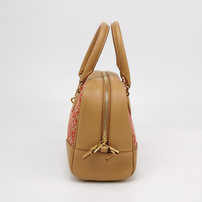 Amazona Canvas Anagram