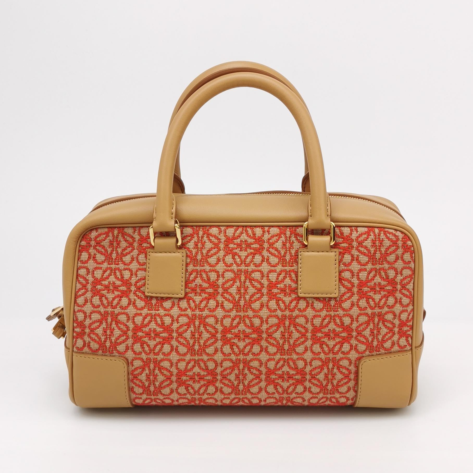 Amazona Canvas Anagram