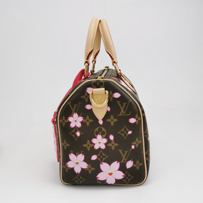 LV TM Speedy25 Monogram