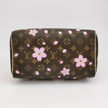 LV TM Speedy25 Monogram