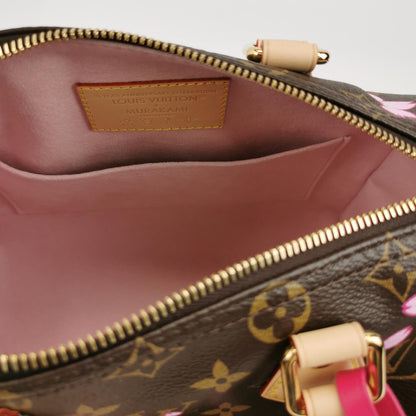 LV TM Speedy25 Monogram