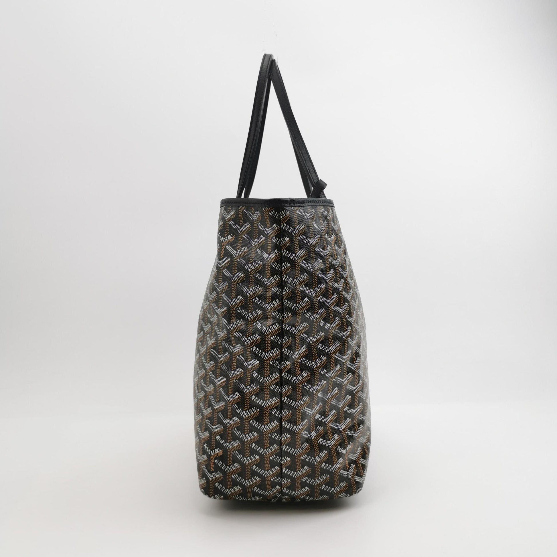 Saint Louis Small Canvas Logo