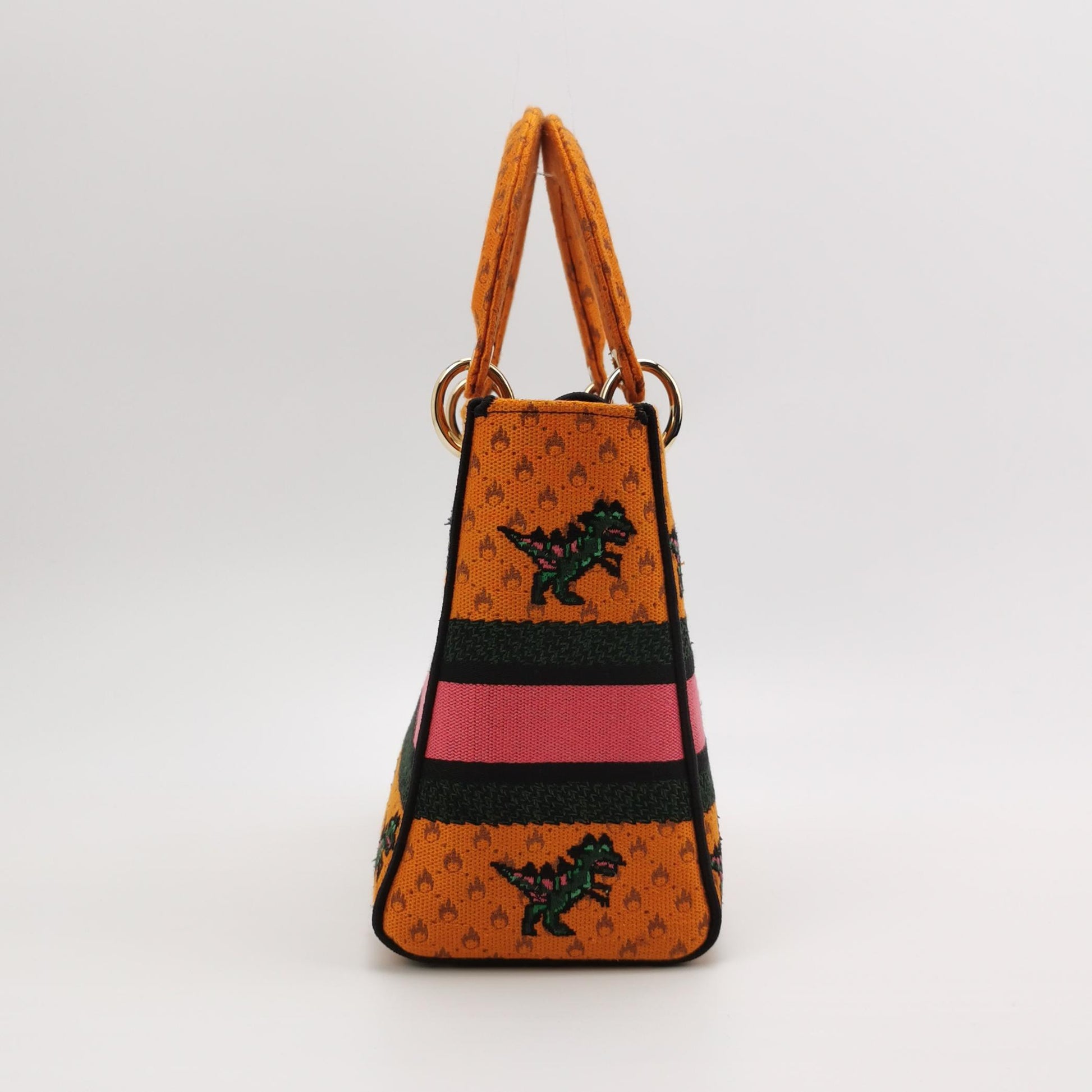 Lady Dior Medium Canvas Logo