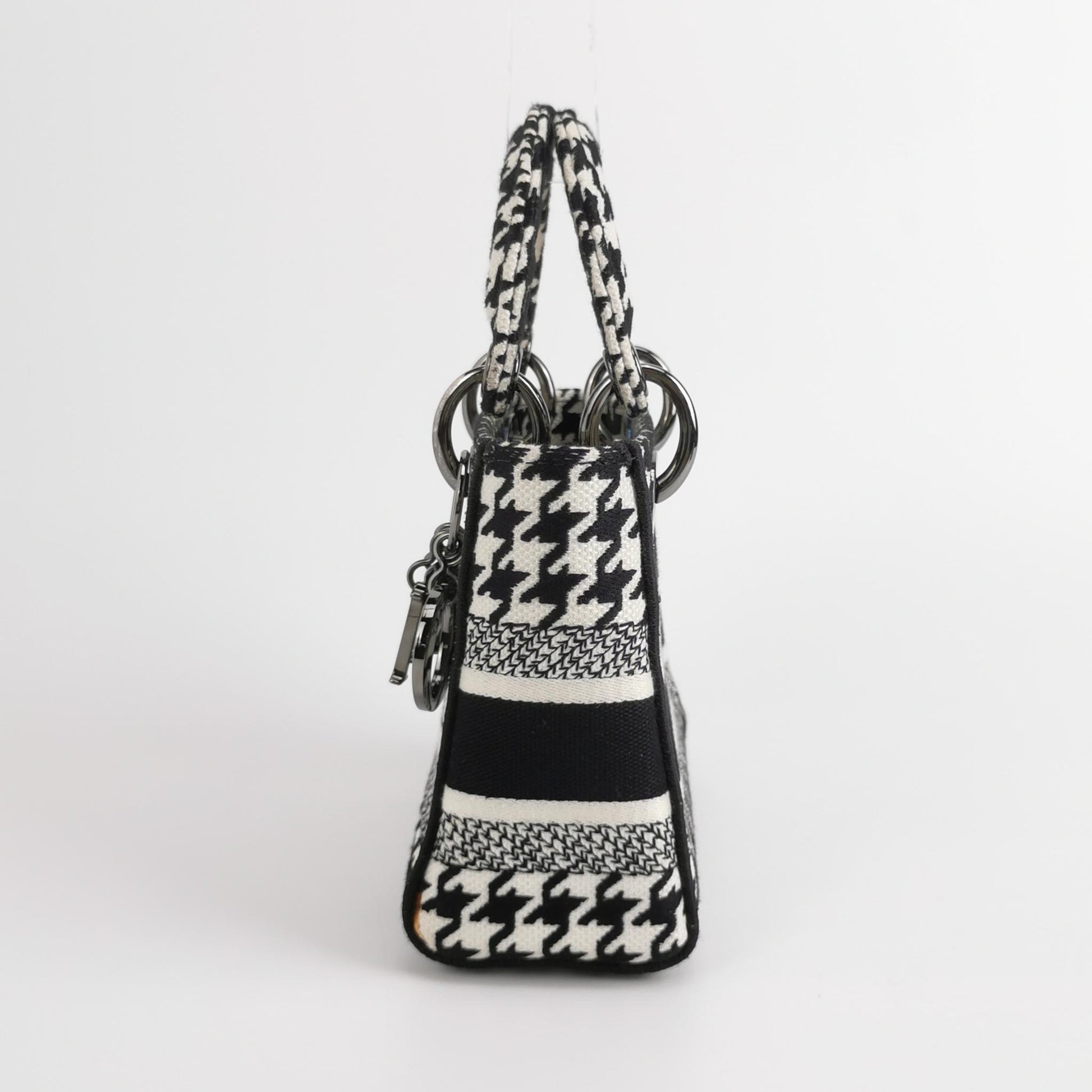 Lady Dior Canvas Logo