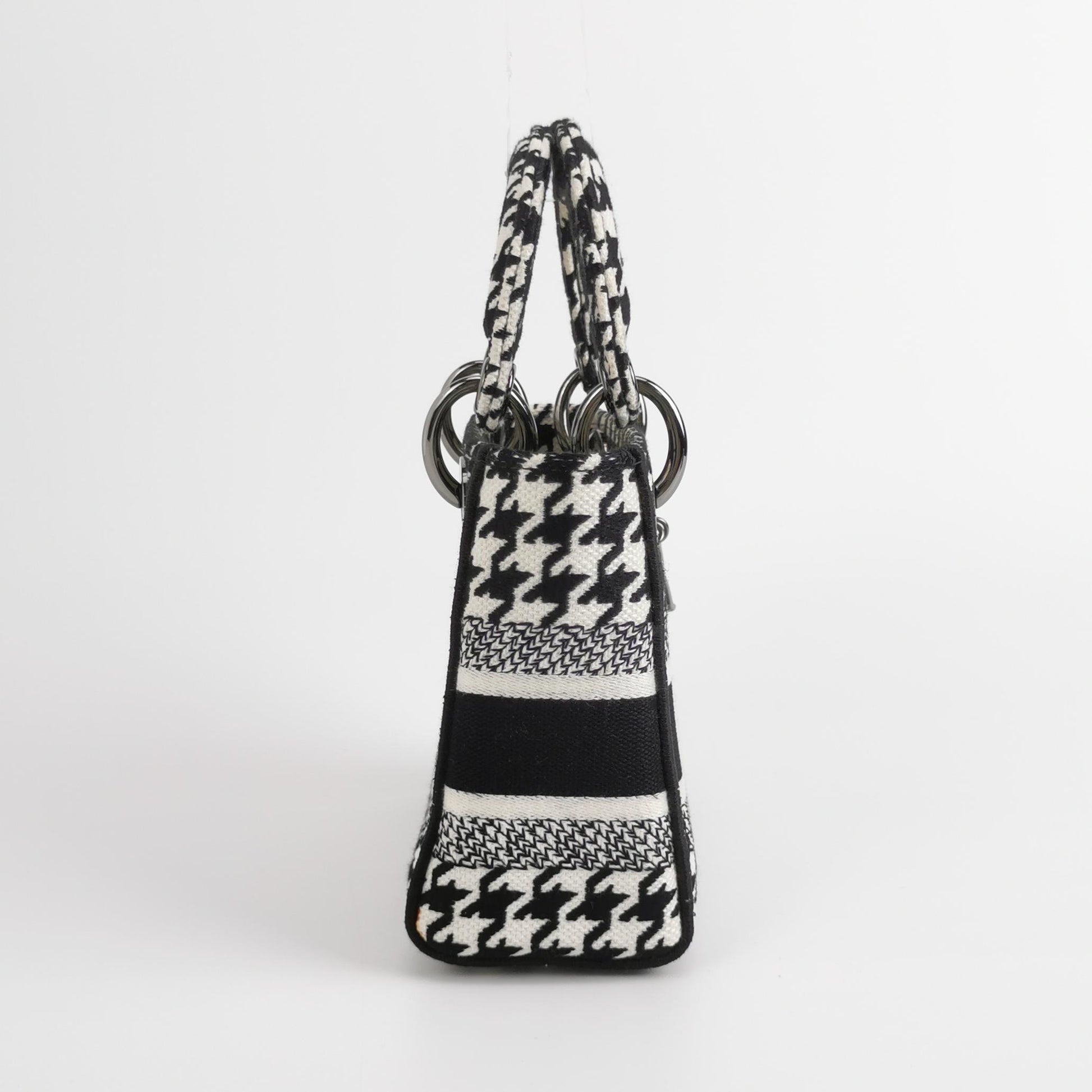 Lady Dior Canvas Logo