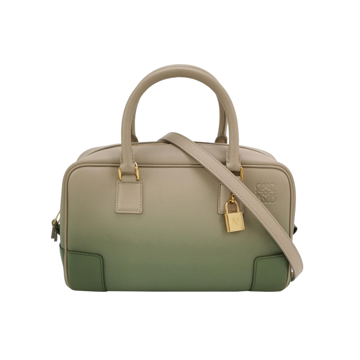 Loewe Loewe Amazona Gradient Calfskin Crossbody Bag