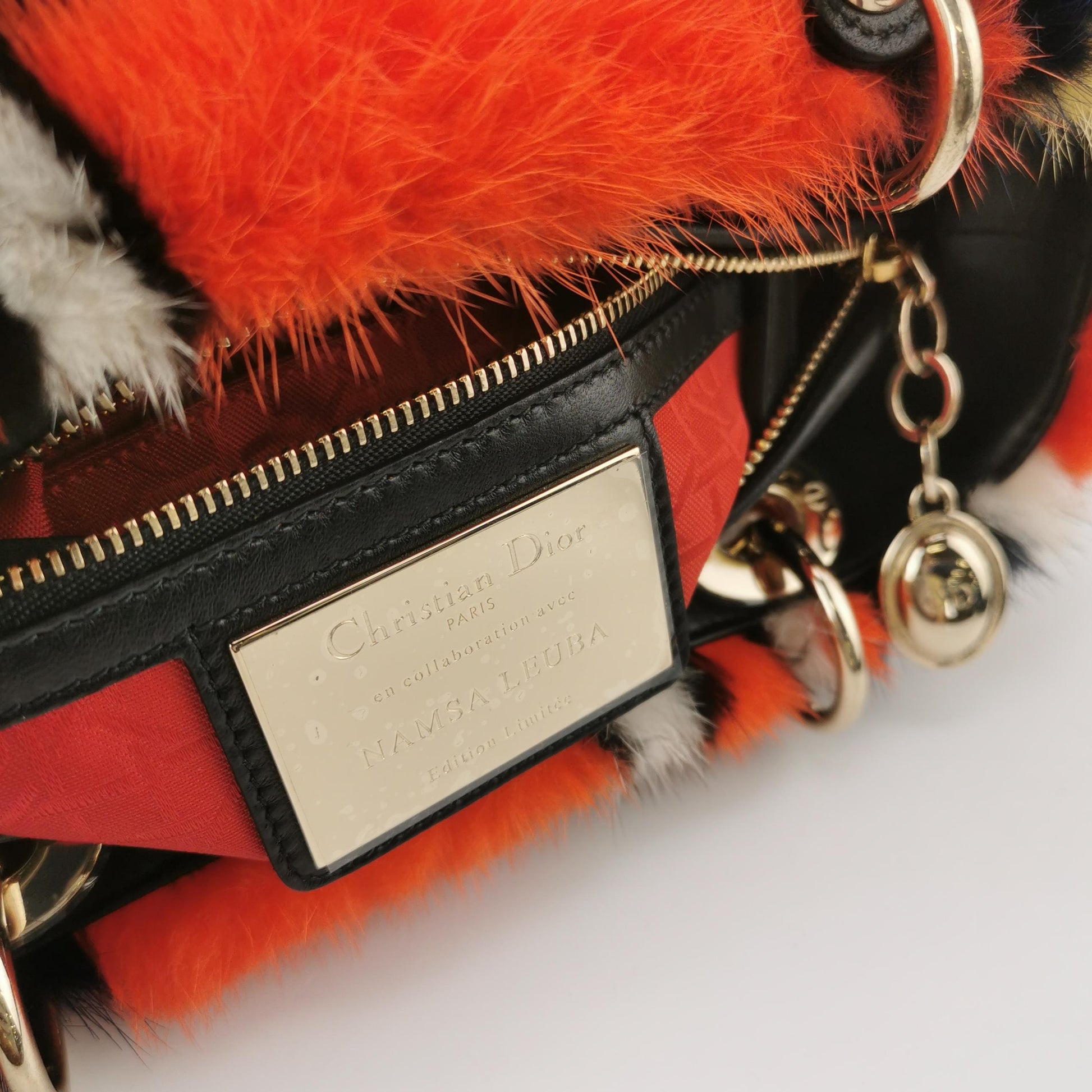 Namsa Leuba Lady Dior Medium Logo