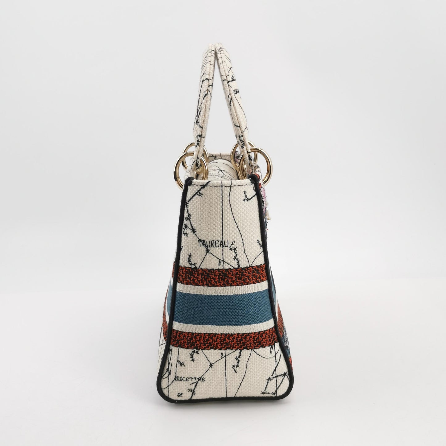 Lady Dior Medium Canvas Logo