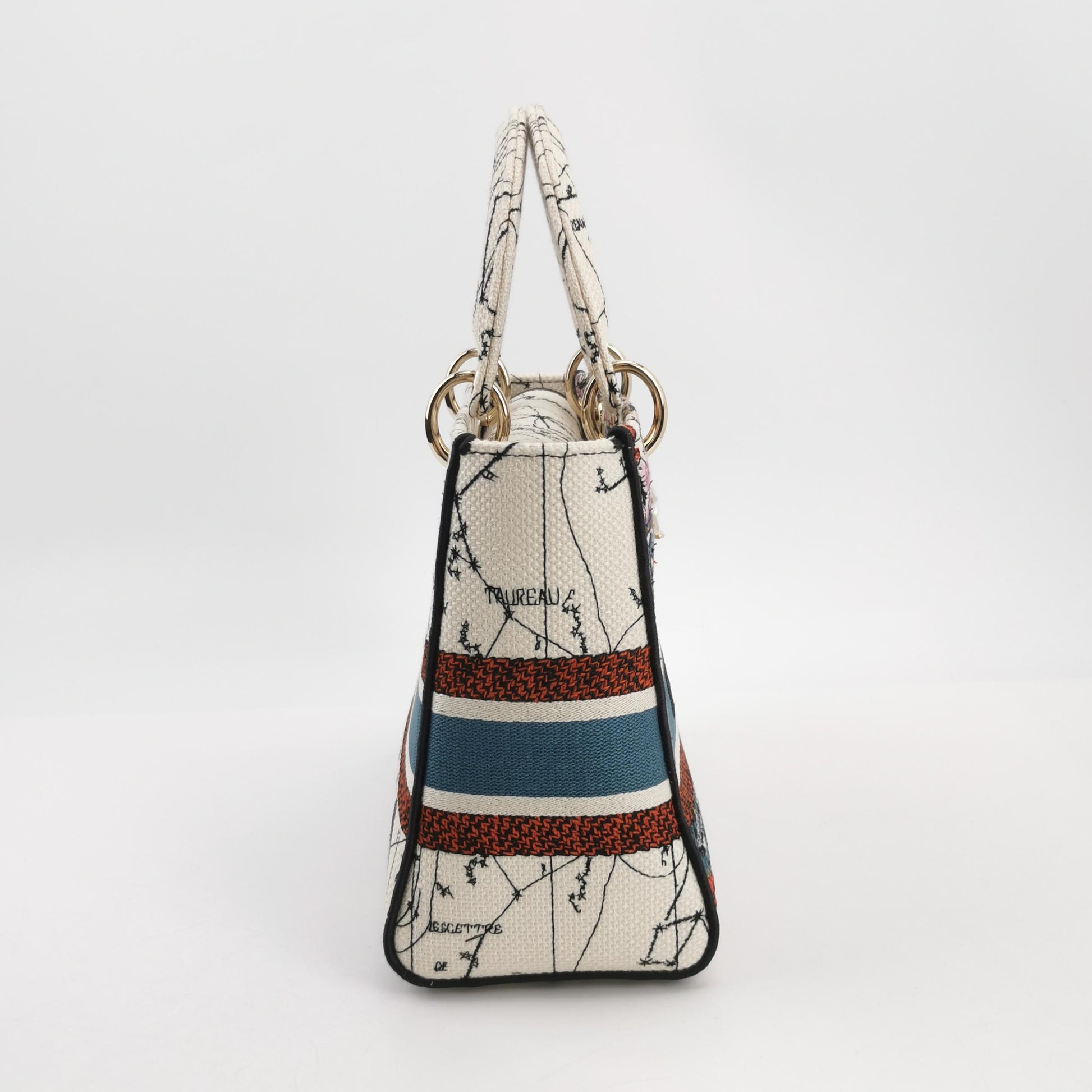 Lady Dior Medium Canvas Logo