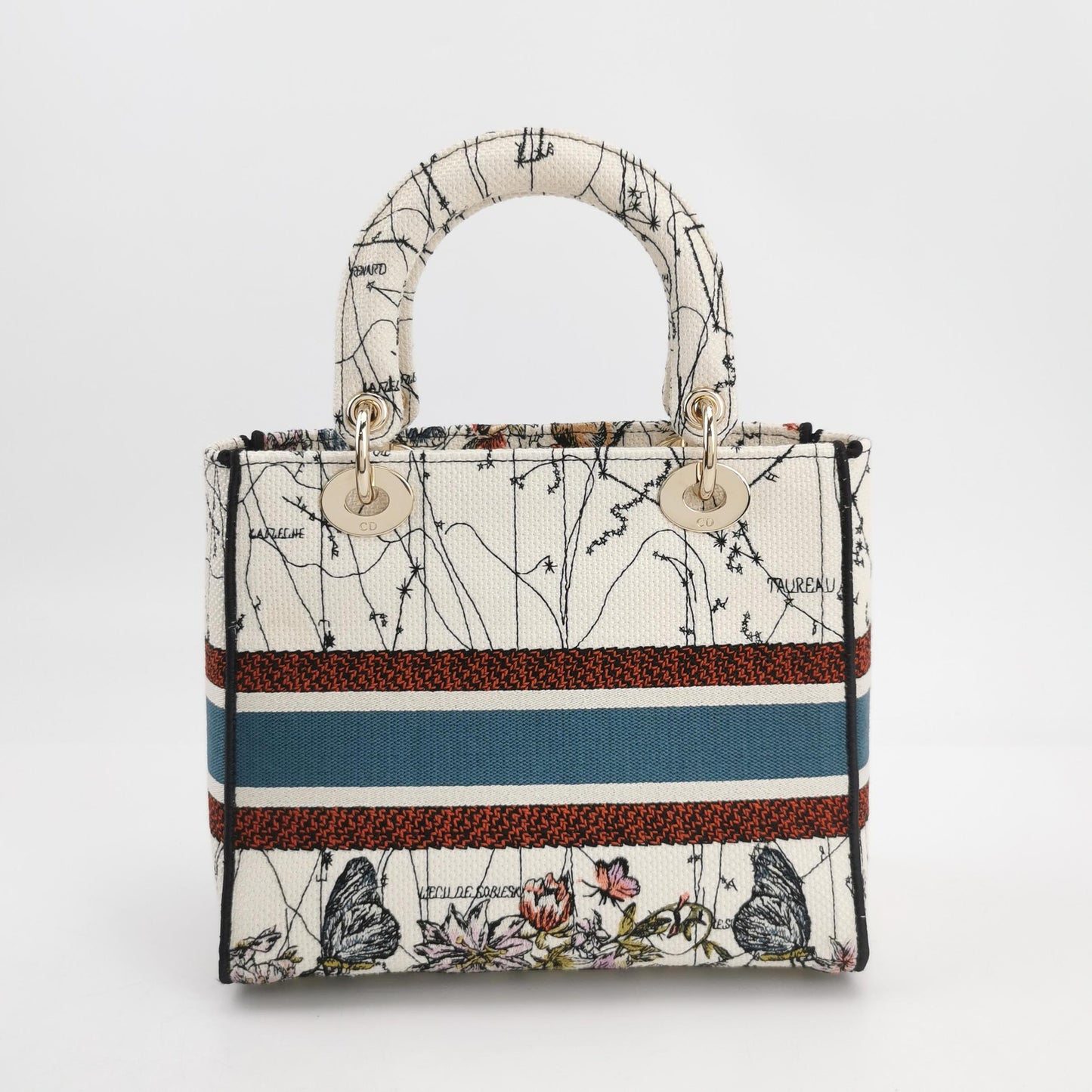 Lady Dior Medium Canvas Logo