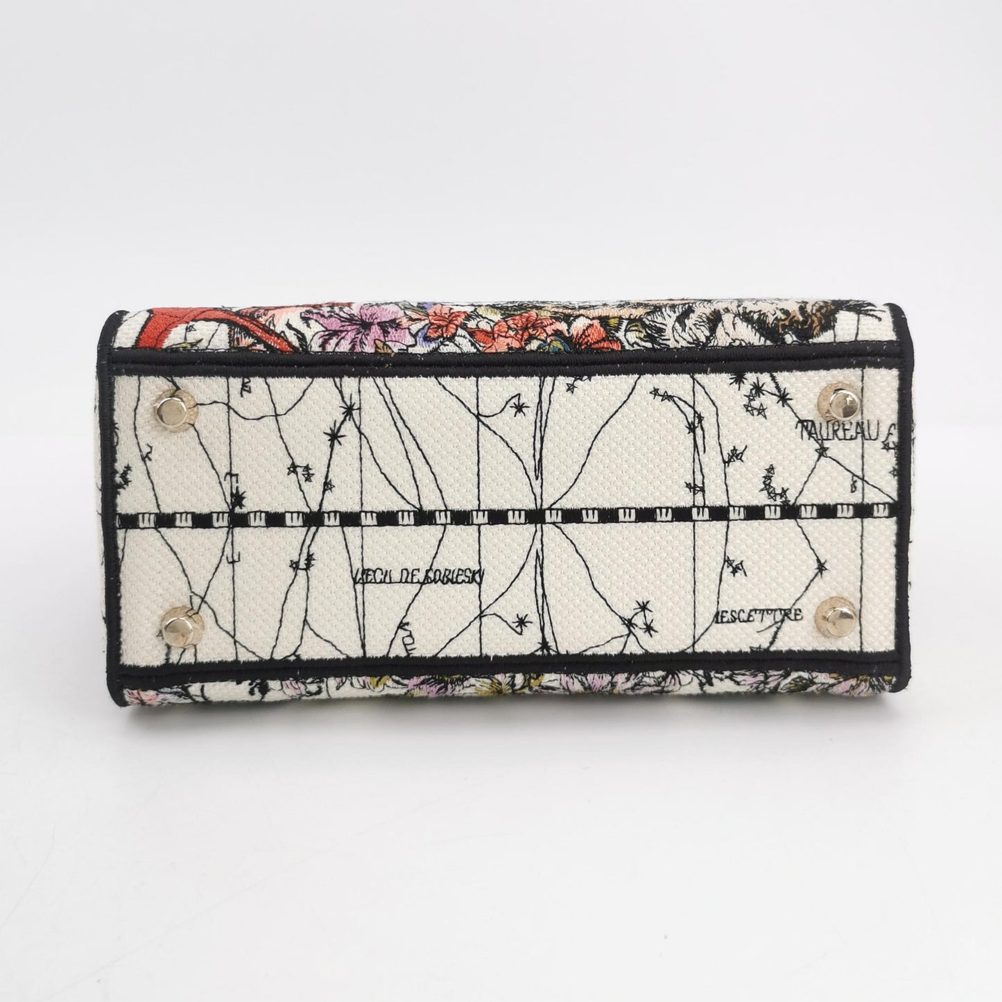 Lady Dior Medium Canvas Logo