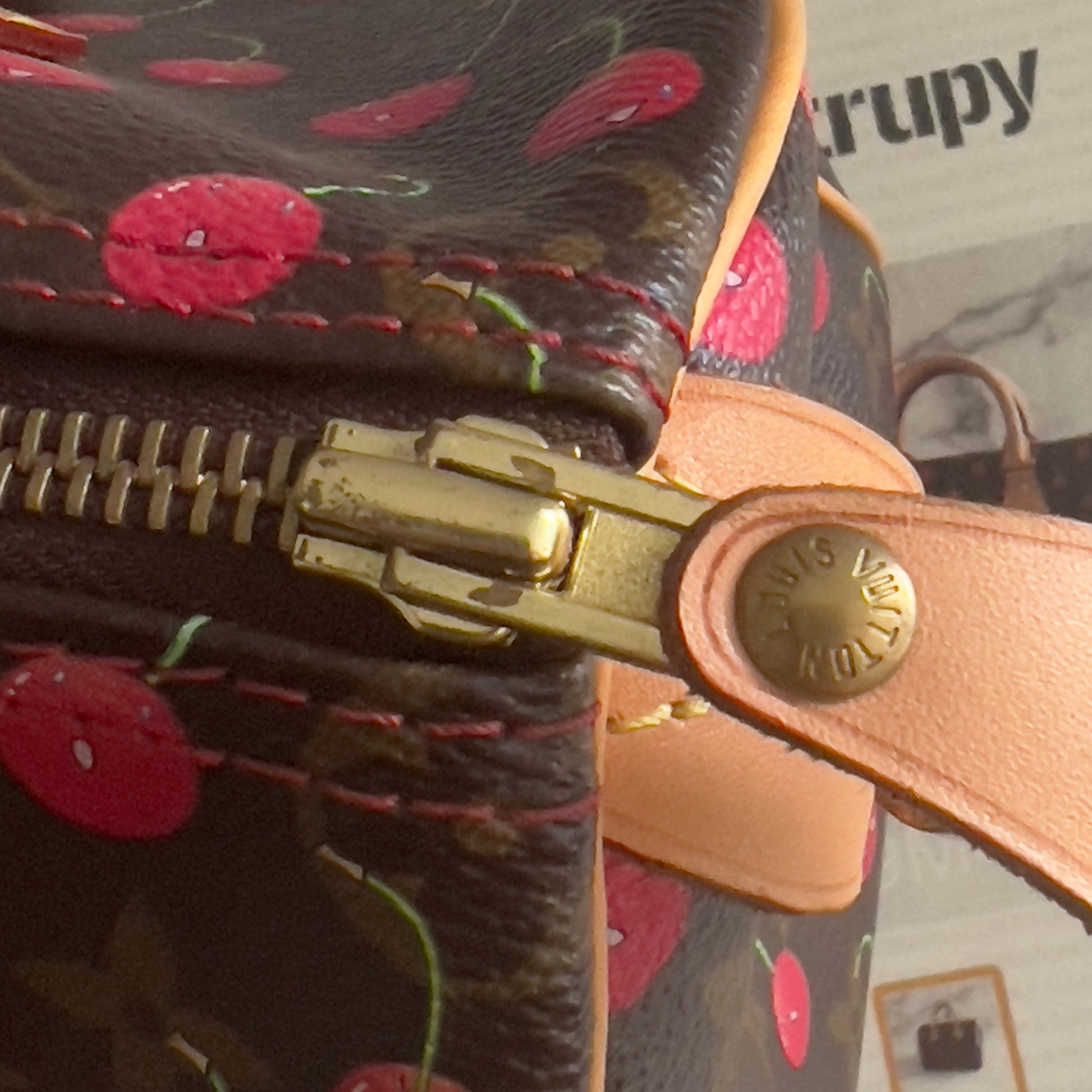 Louis Vuitton Monogram Cherries Speedy 25