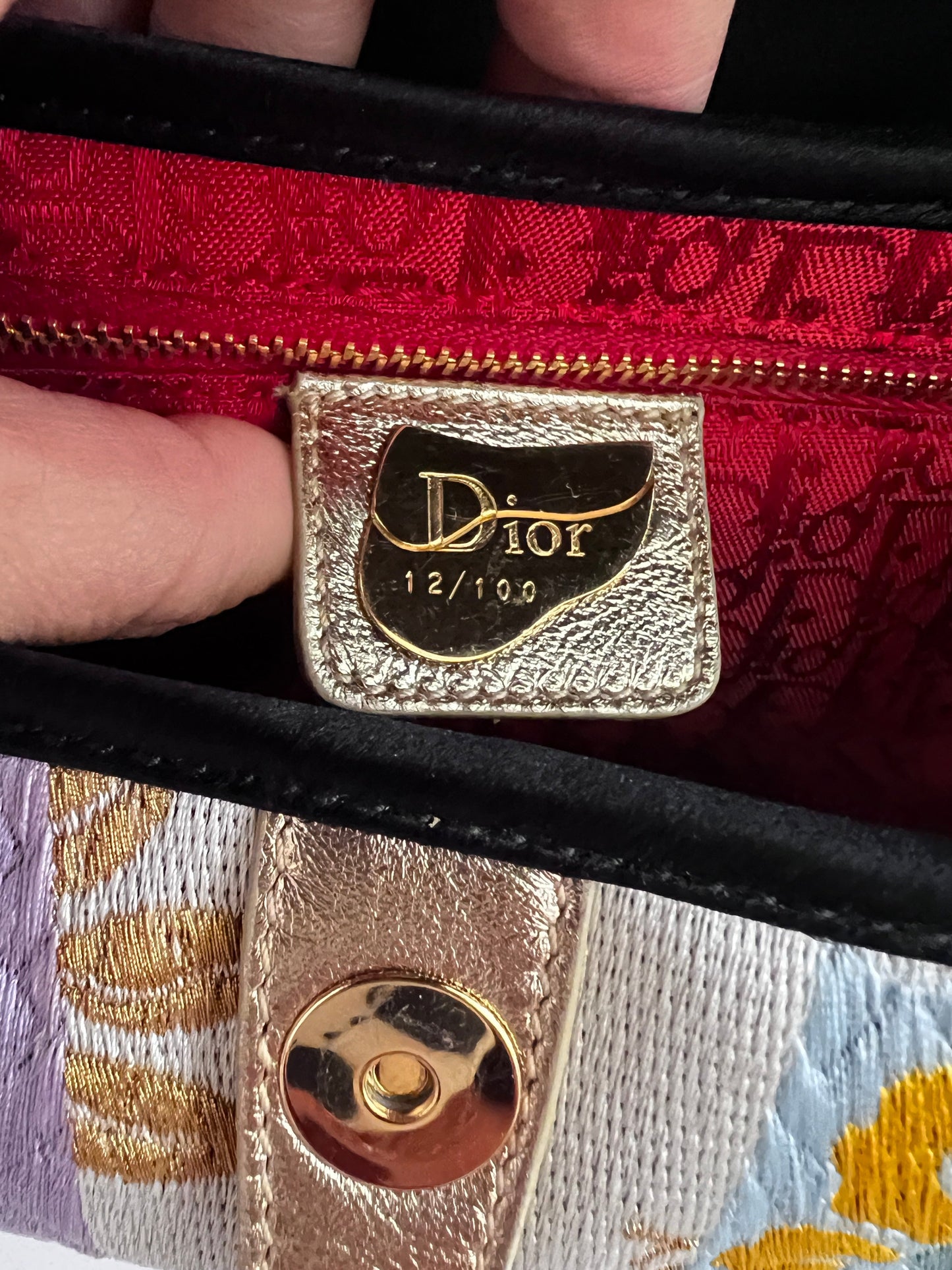 Dior world saddle bag- Japan