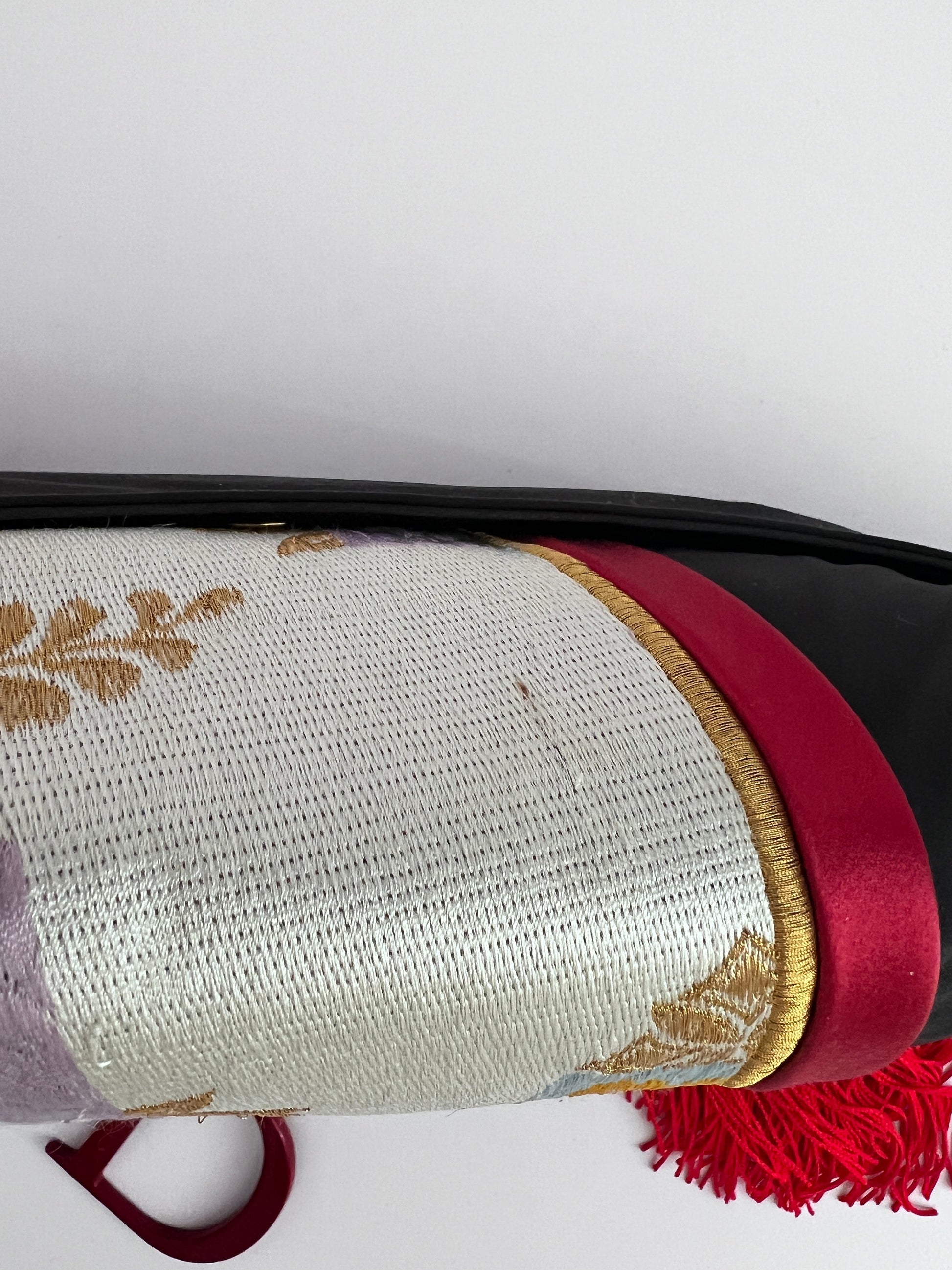 Dior world saddle bag- Japan