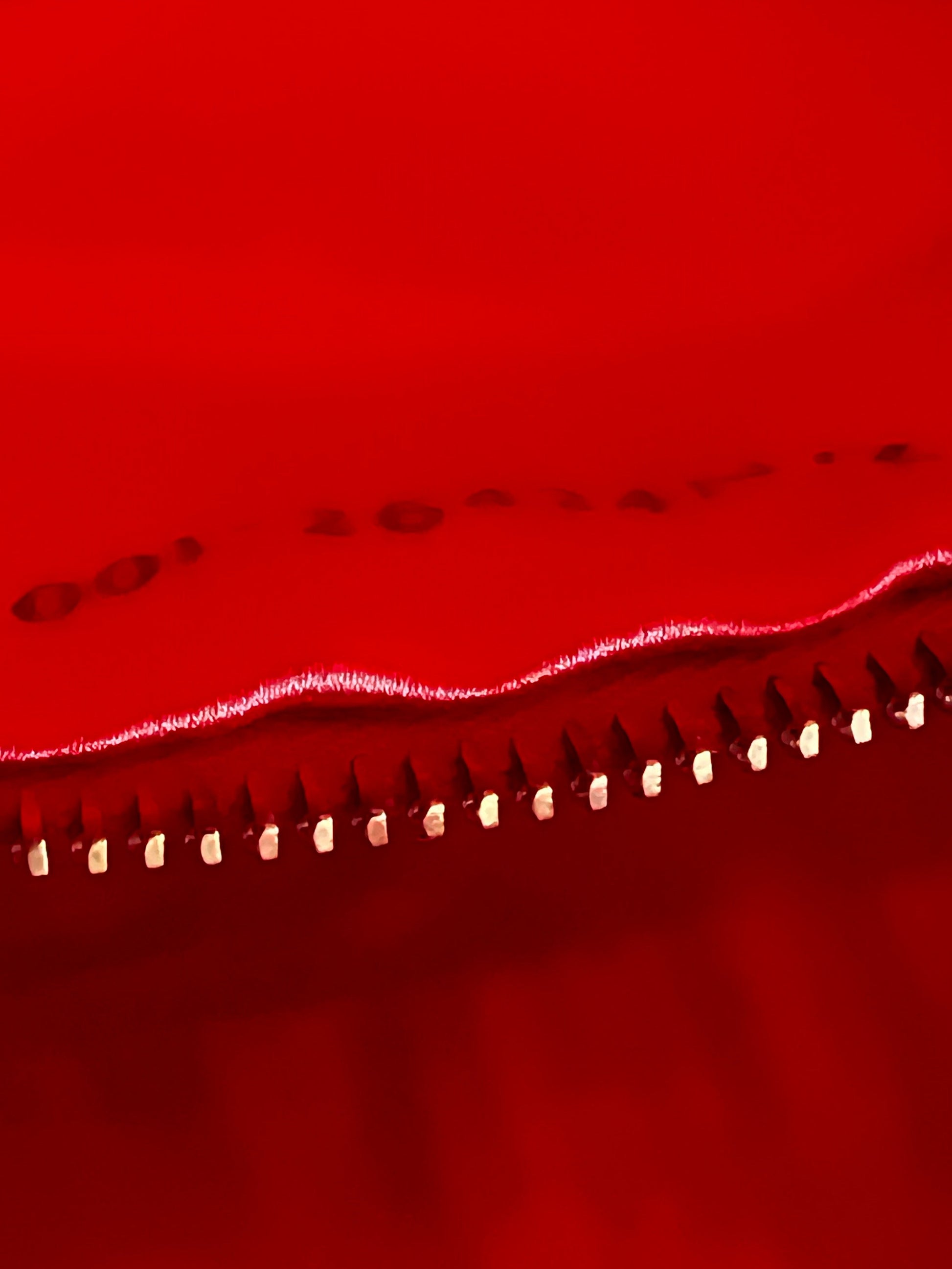 Vintage Custom Fendi Baguette - Tropical Insect Embroidery