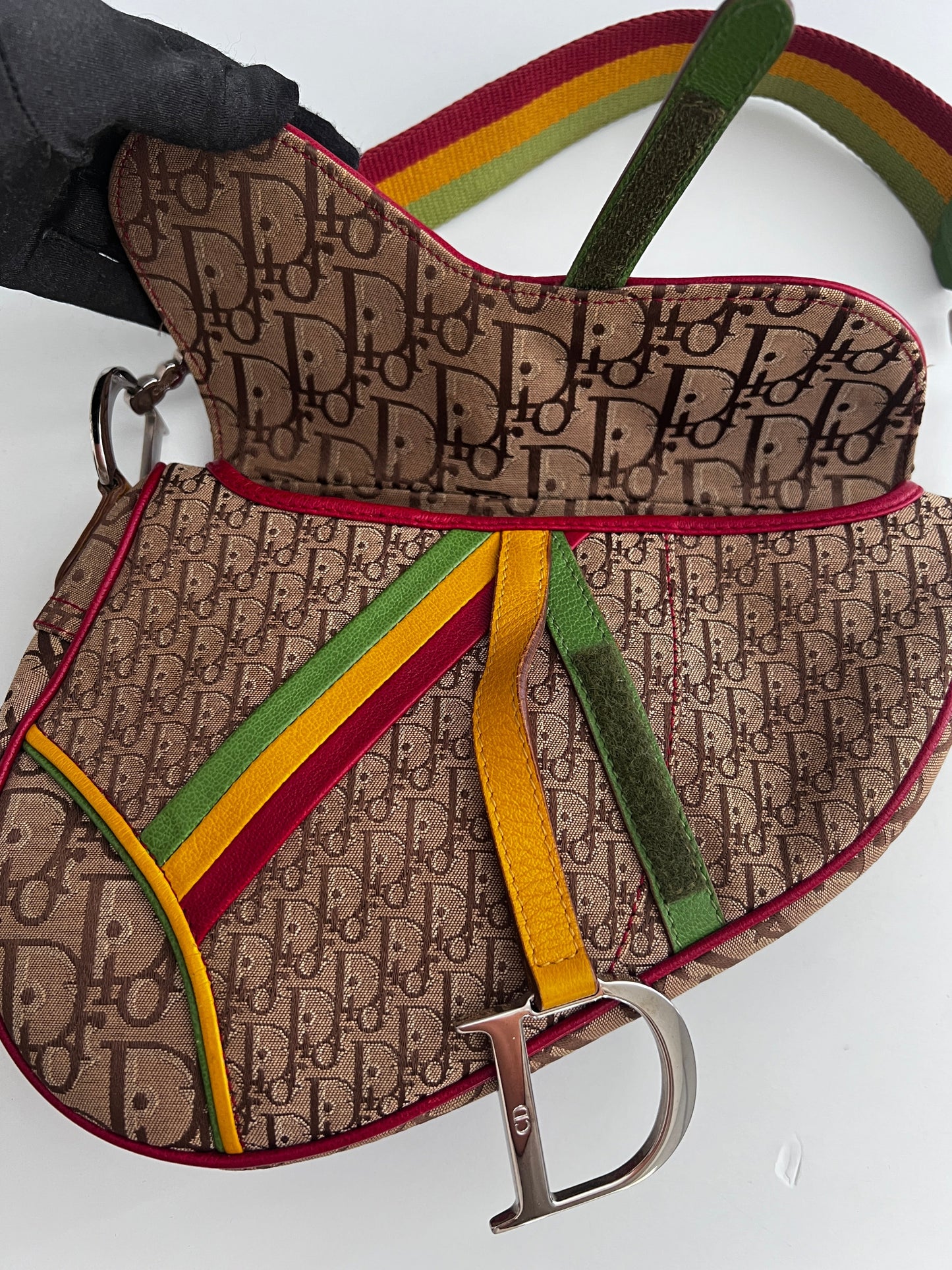 Dior Saddle Rasta shoulder bag