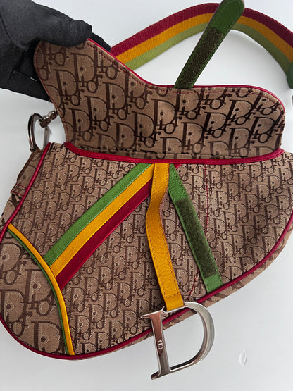 Dior Saddle Rasta shoulder bag