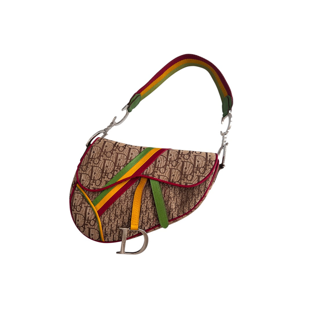 Dior Dior Saddle Rasta shoulder bag