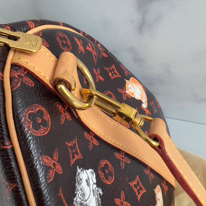 Louis Vuitton Catogram Speedy Bandouliere 30