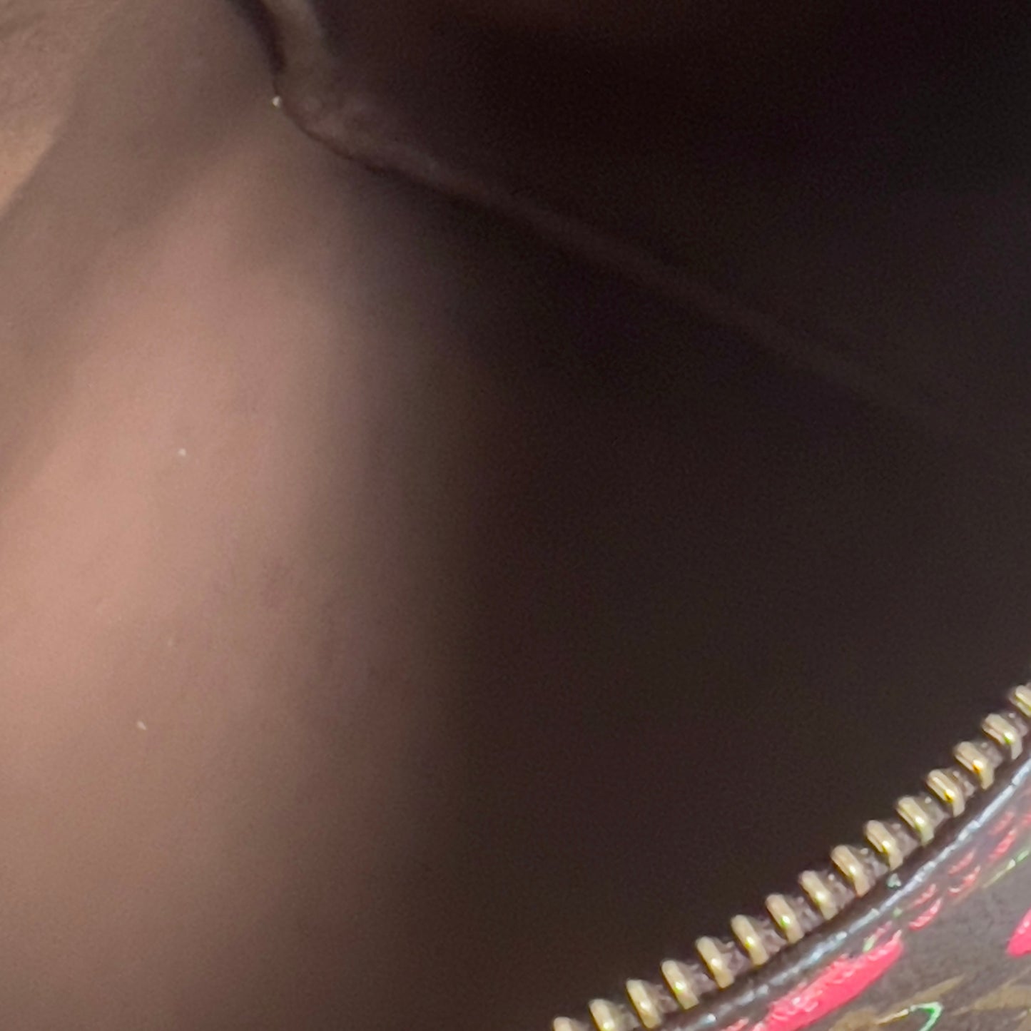 Louis Vuitton Monogram Cherries Speedy 25