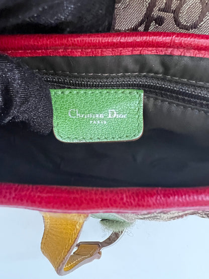 Dior Saddle Rasta shoulder bag