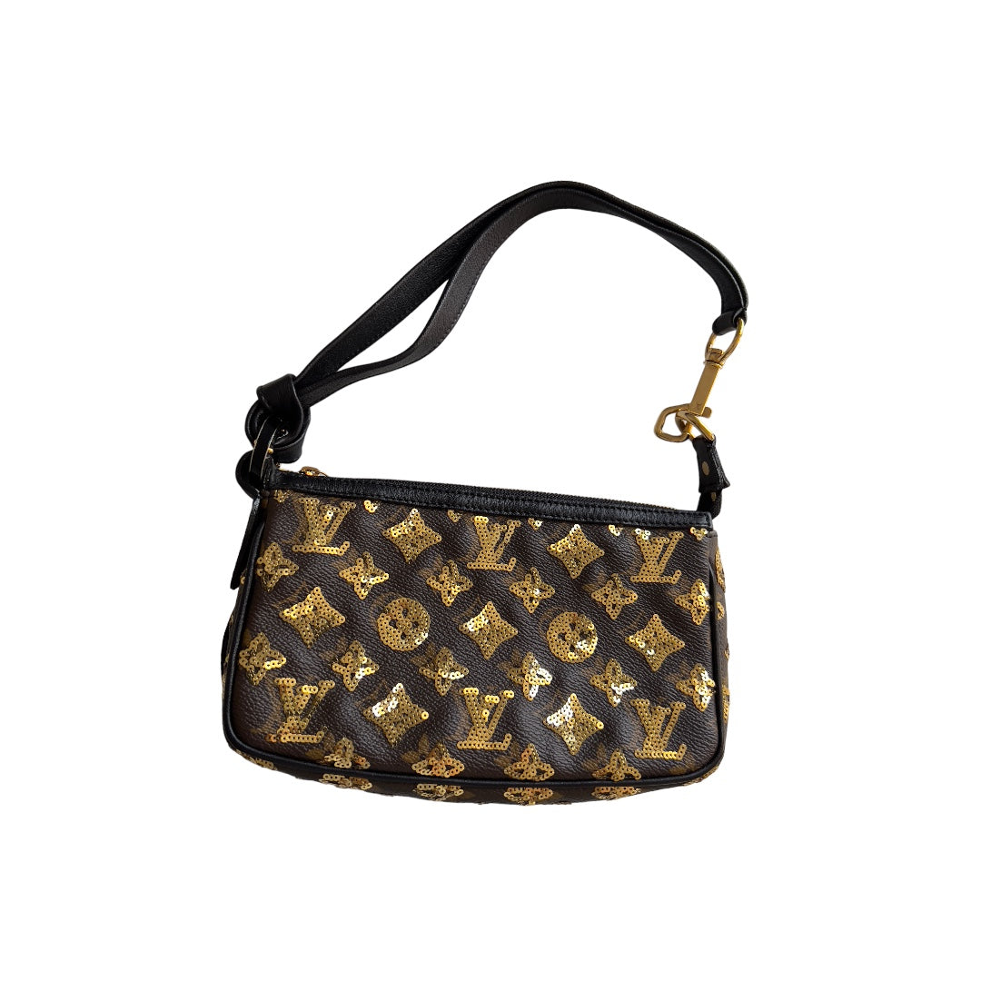 Louis Vuitton Louis Vuitton monogram eclipse pochette accessories big size