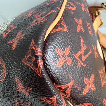 Louis Vuitton Catogram Speedy Bandouliere 30