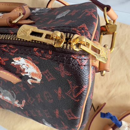 Louis Vuitton Catogram Speedy Bandouliere 30