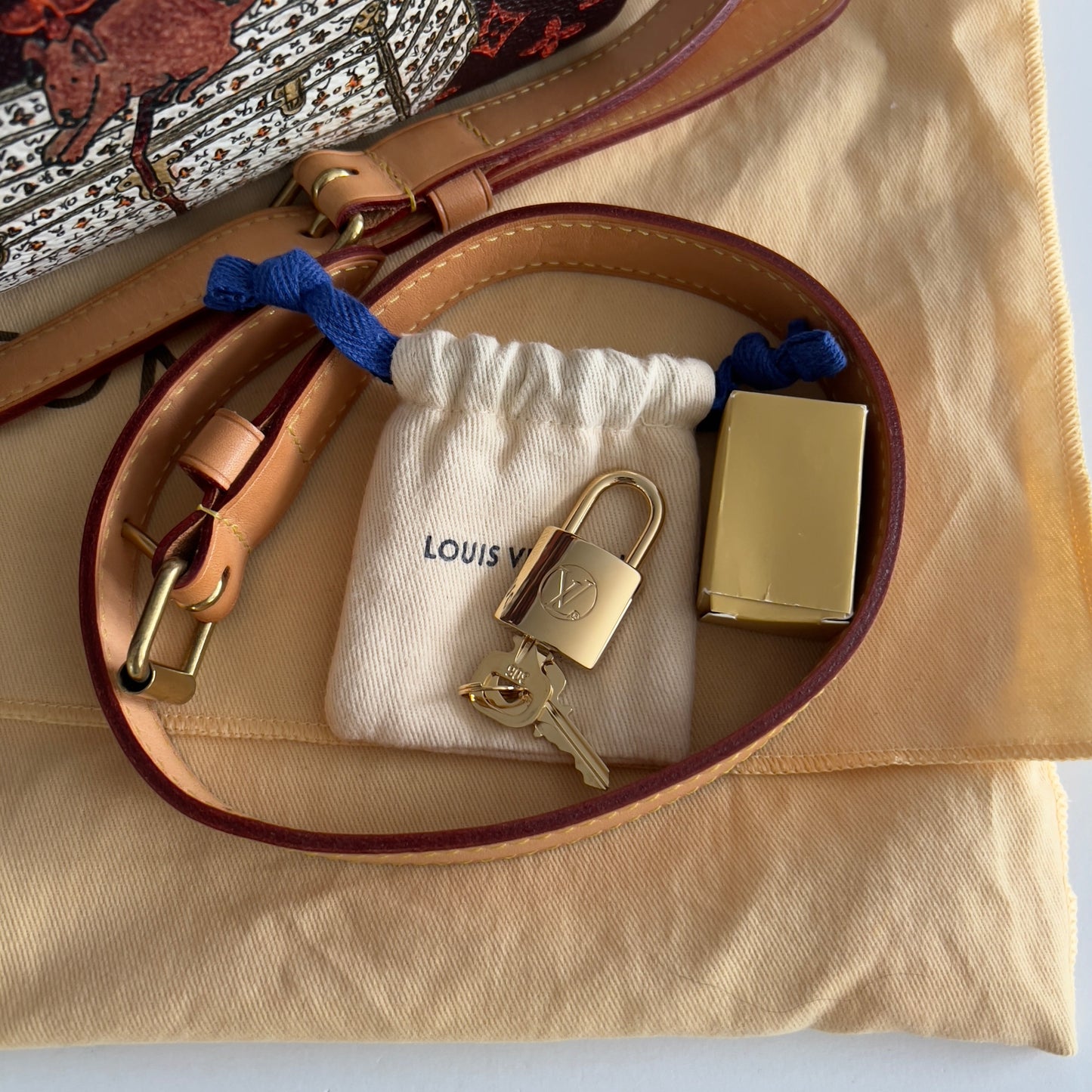 Louis Vuitton Catogram Speedy Bandouliere 30