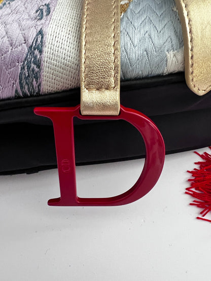 Dior world saddle bag- Japan