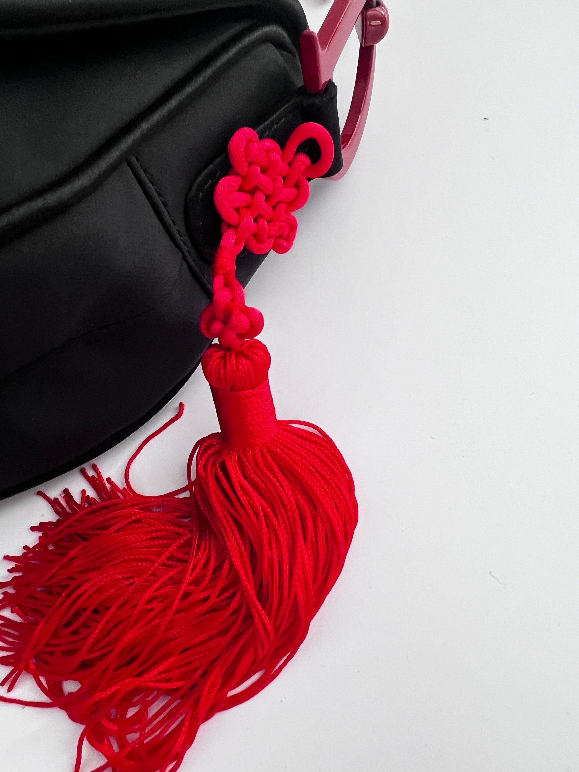 Dior world saddle bag- Japan