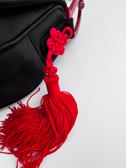 Dior world saddle bag- Japan