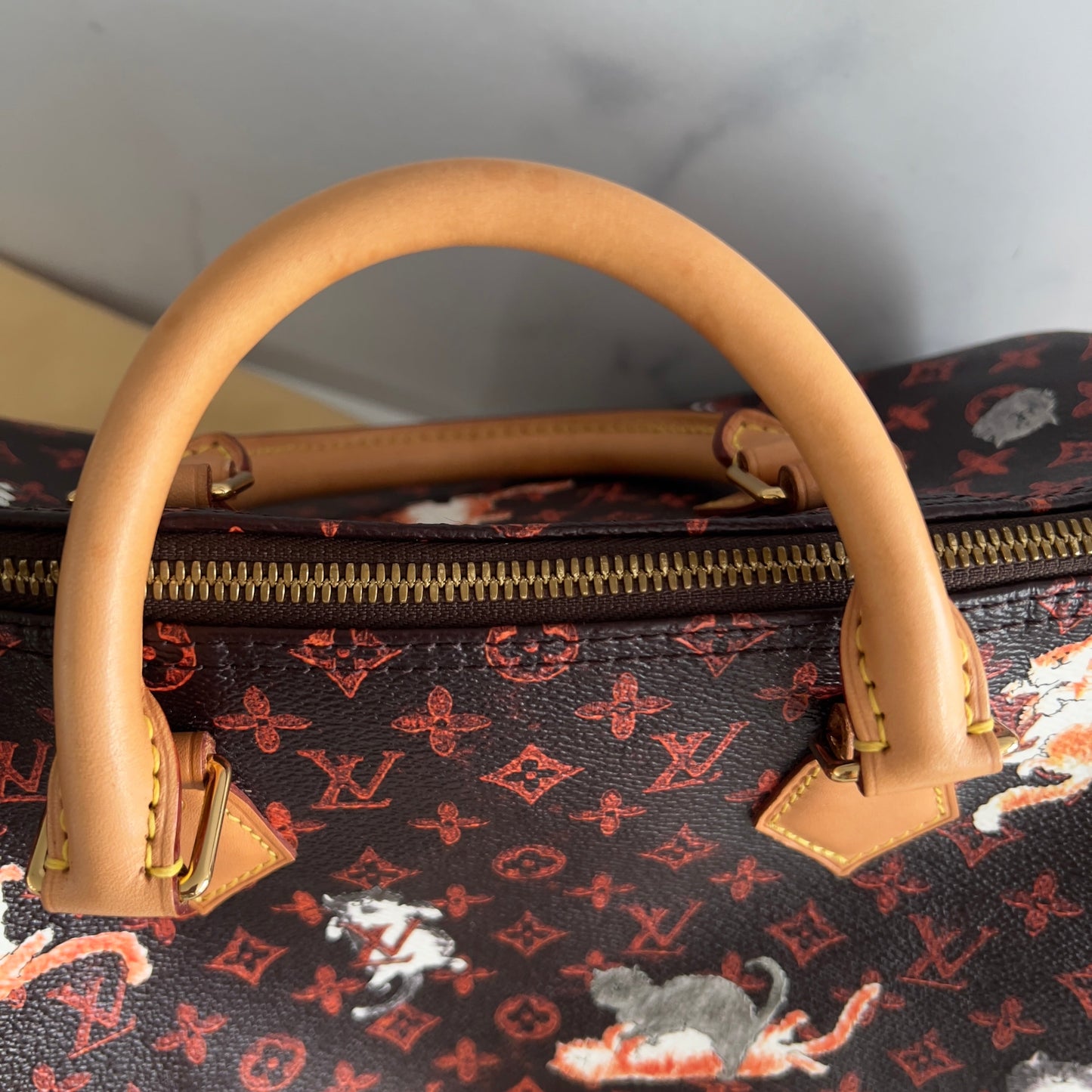 Louis Vuitton Catogram Speedy Bandouliere 30