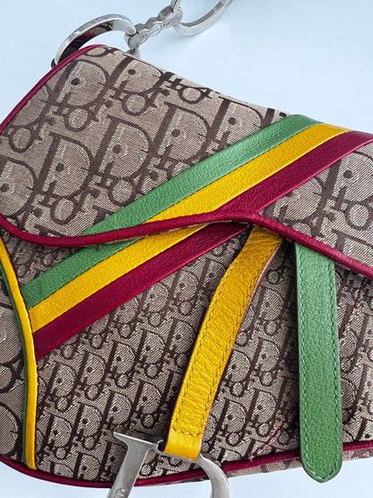 Dior Saddle Rasta shoulder bag